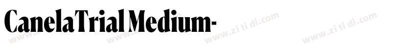 CanelaTrial Medium字体转换